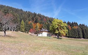 Chalet Musiera
